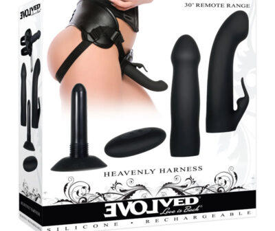 Evolved HEAVENLY HARNESS