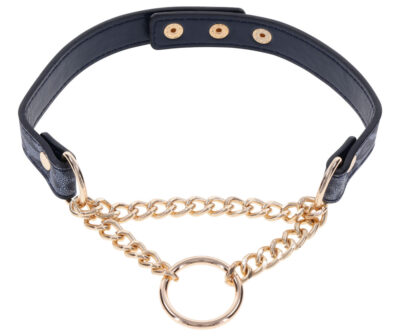 Sex & Mischief Cougar Day Collar